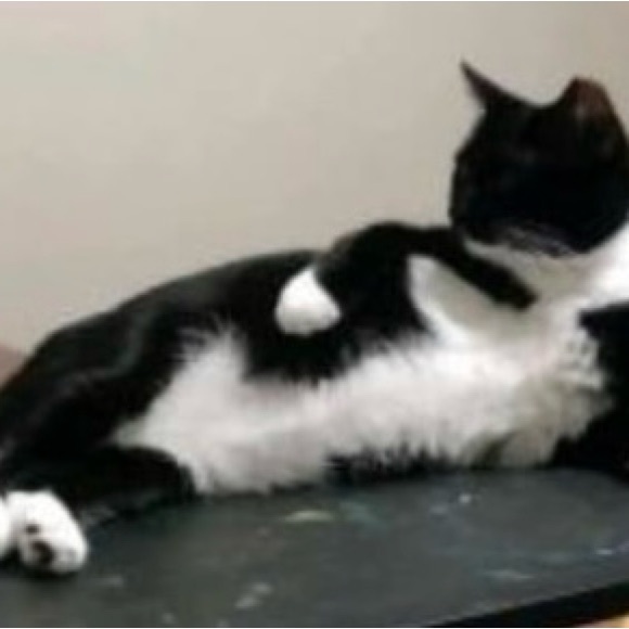 HANDMADE SHARE SHOW. DO NOT BID - Picture 10 of 14